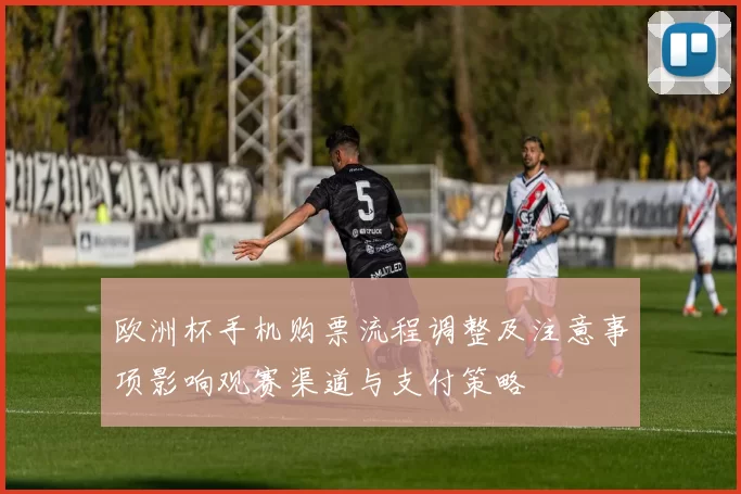 欧洲杯手机购票流程调整及注意事项影响观赛渠道与支付策略