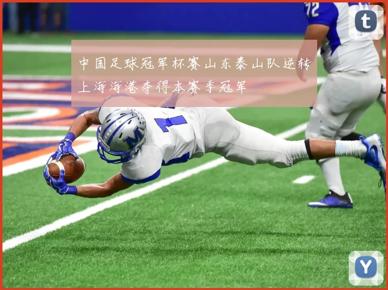 中国足球冠军杯赛山东泰山队逆转上海海港夺得本赛季冠军