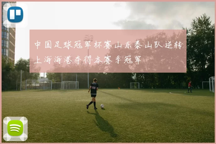 中国足球冠军杯赛山东泰山队逆转上海海港夺得本赛季冠军
