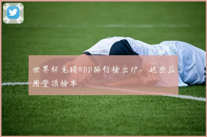 世界杯竞猜app排行榜出炉,这些应用登顶榜单